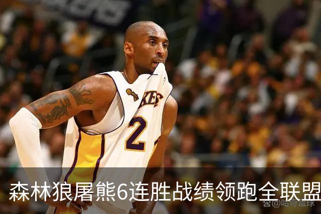 森林狼屠熊6连胜战绩领跑全联盟 骑士力克热火